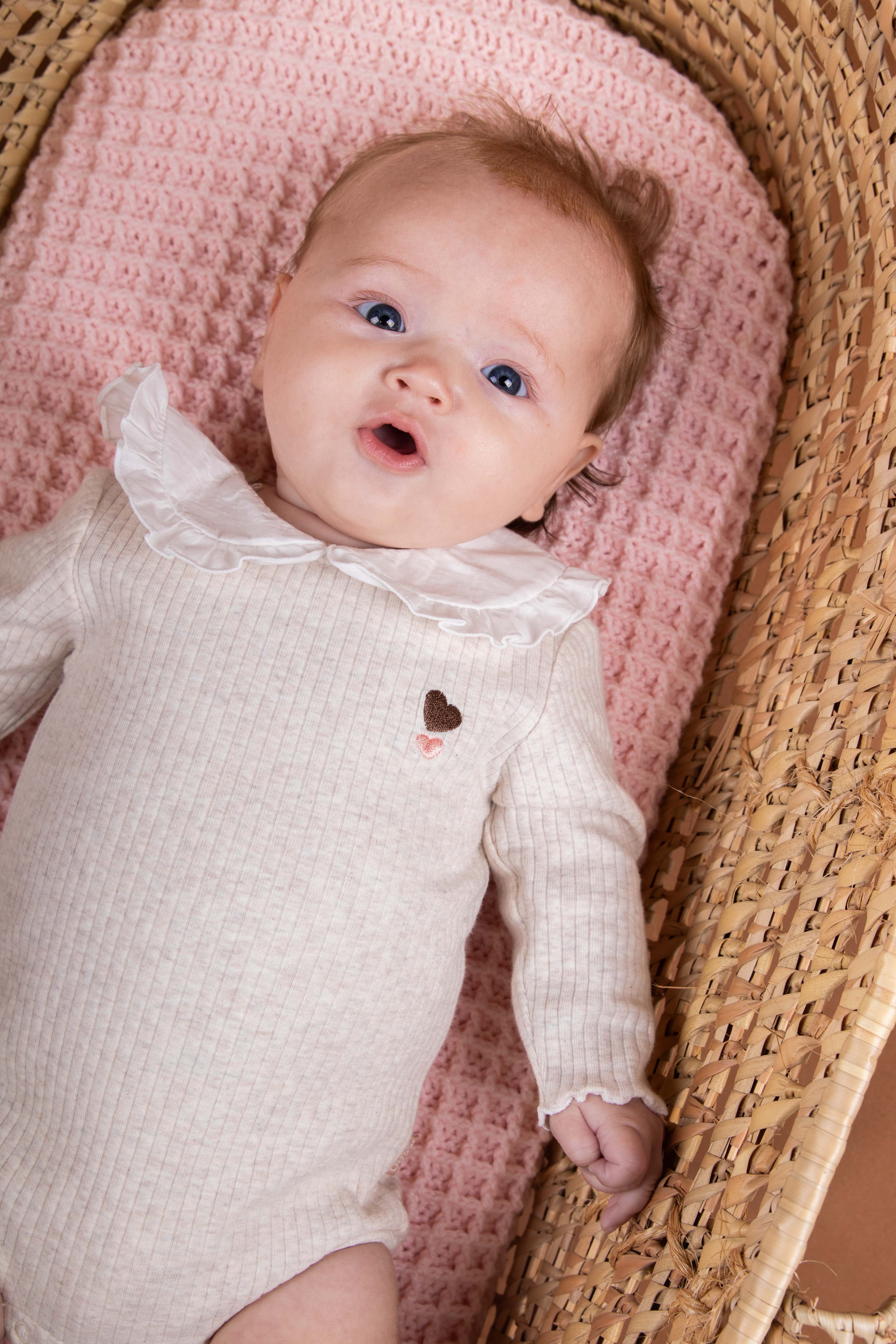 Mooie afgewerkte body van BESS