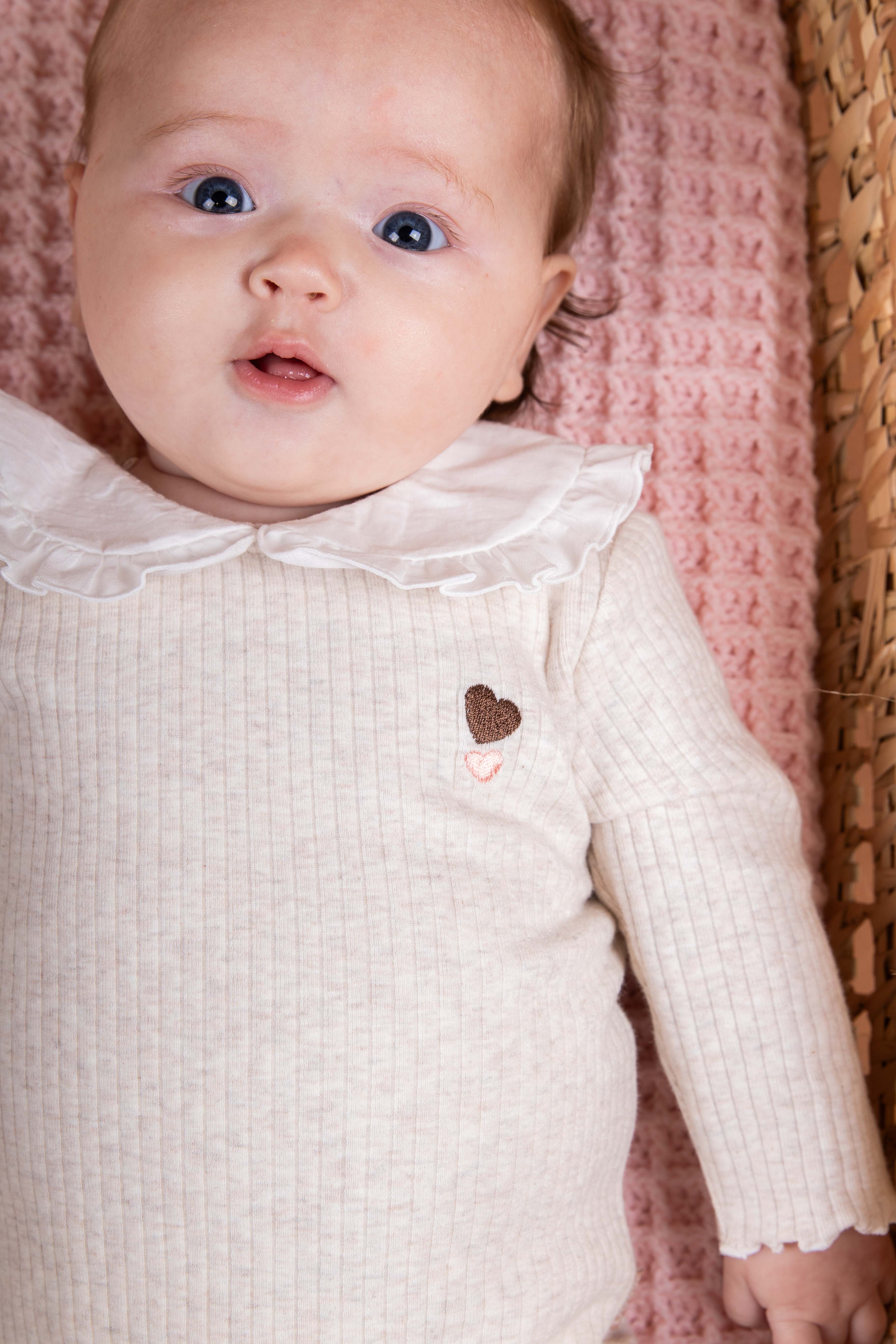 Mooie afgewerkte body van BESS