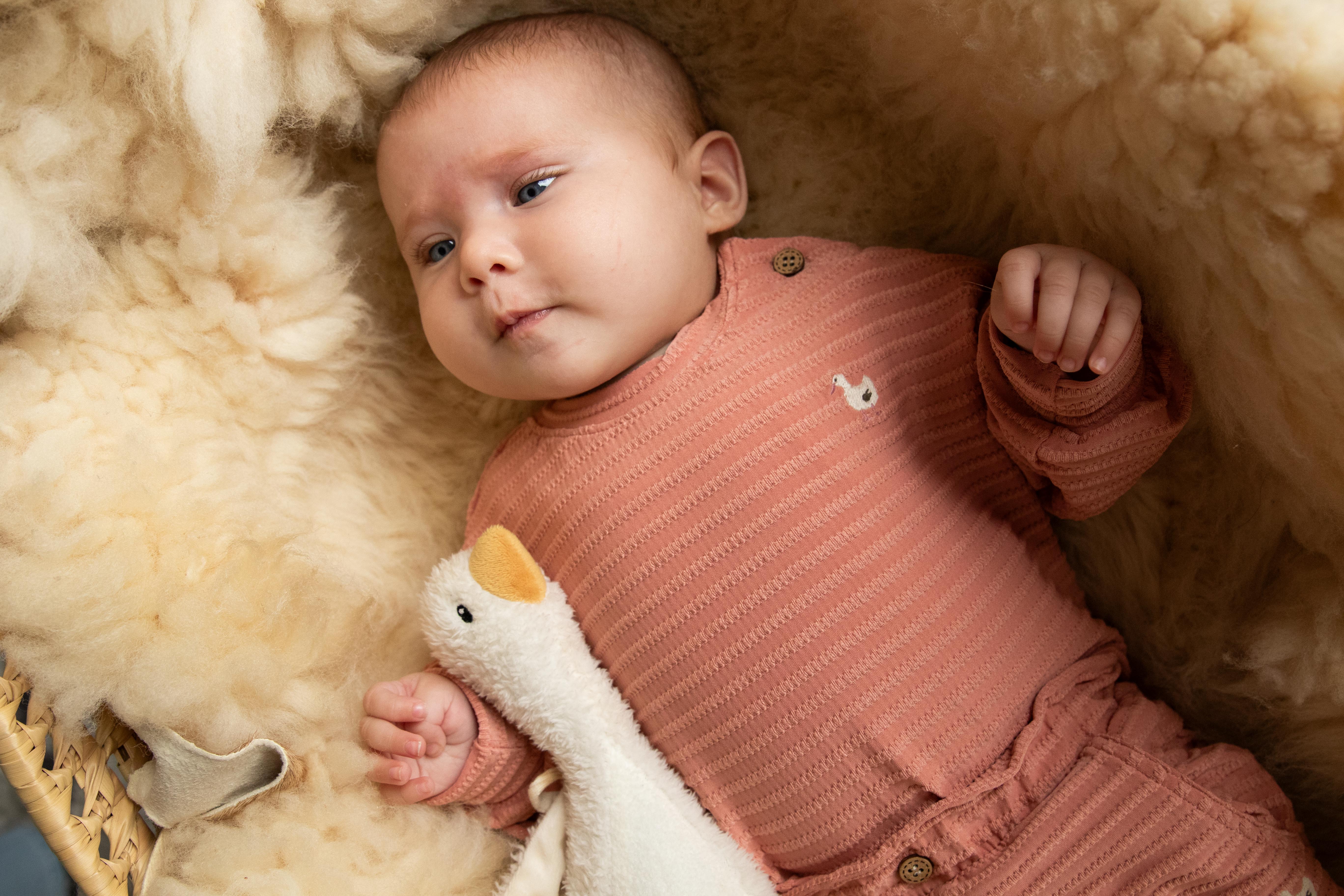 🍑 Zalmroze Sweatshirt met Eend Borduursel – Bess 🍑