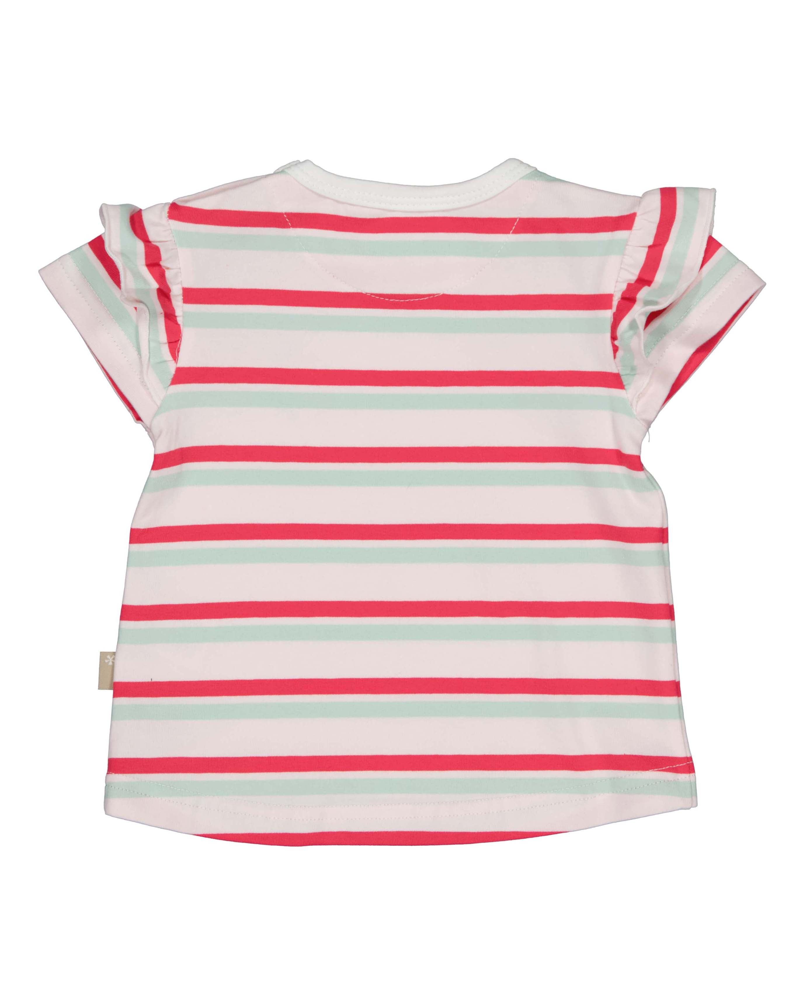 🍓 Gestreept Baby T-shirt met Aardbei – Summer Strawberry | BESS