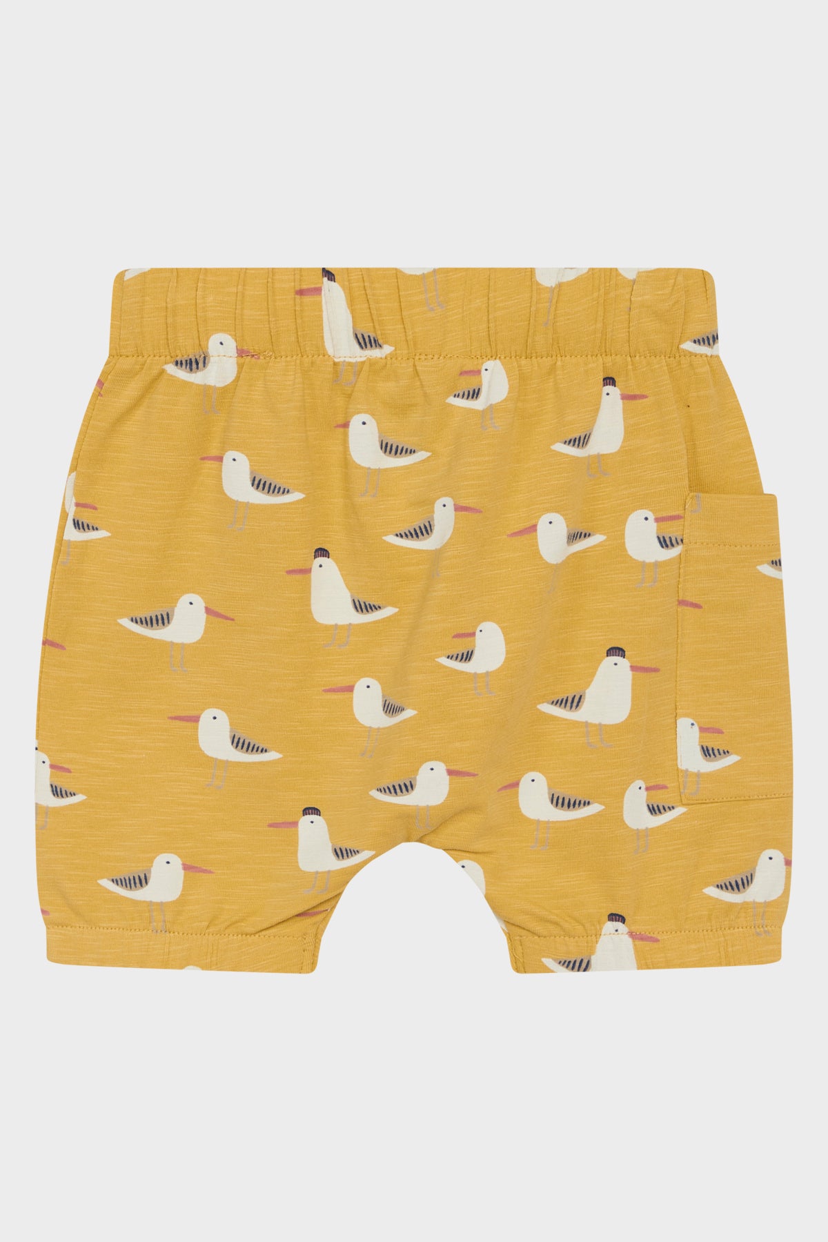 Short Hust&Claire - HC Havor