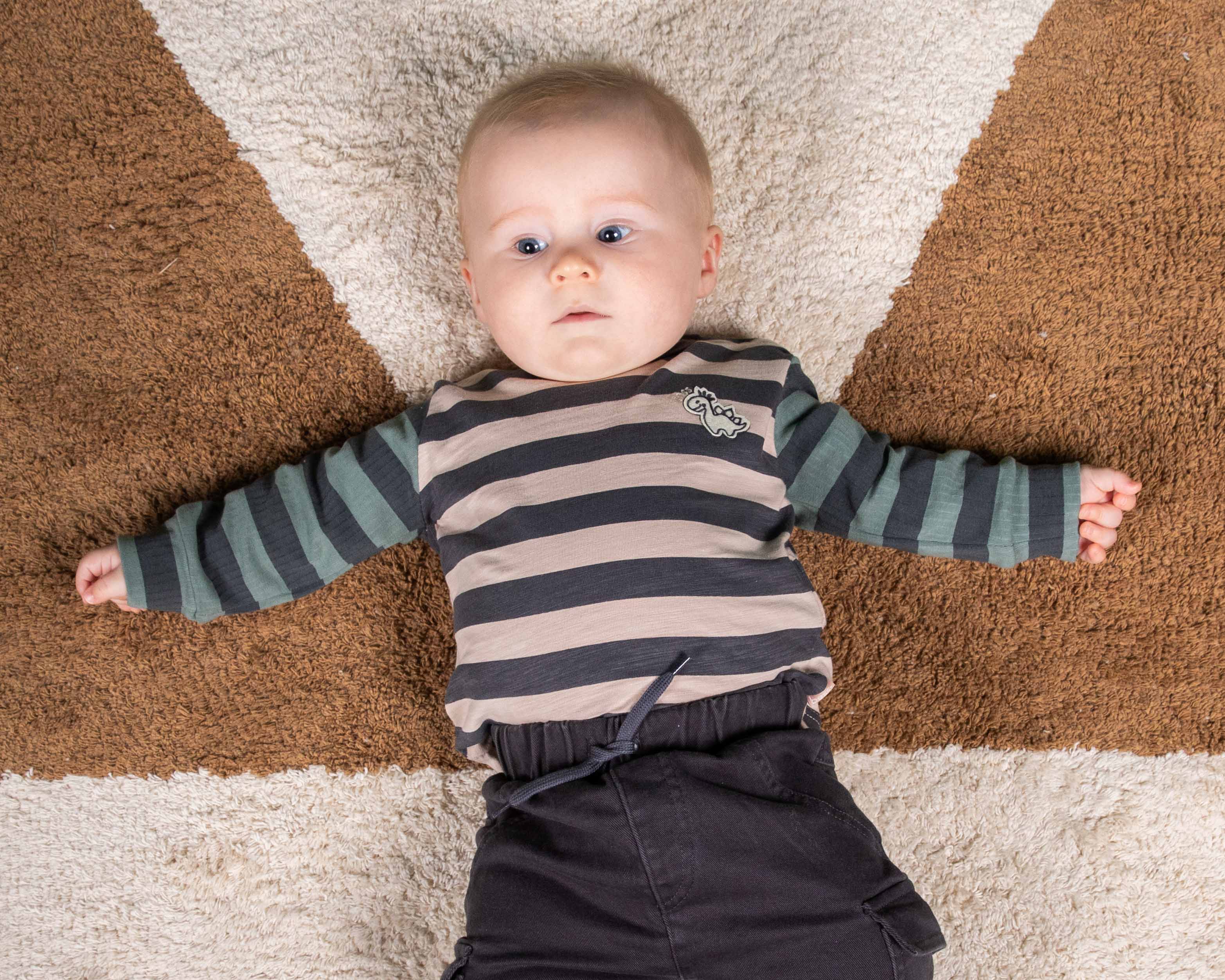 Leuk gestreept T-shirt met lange mouwen