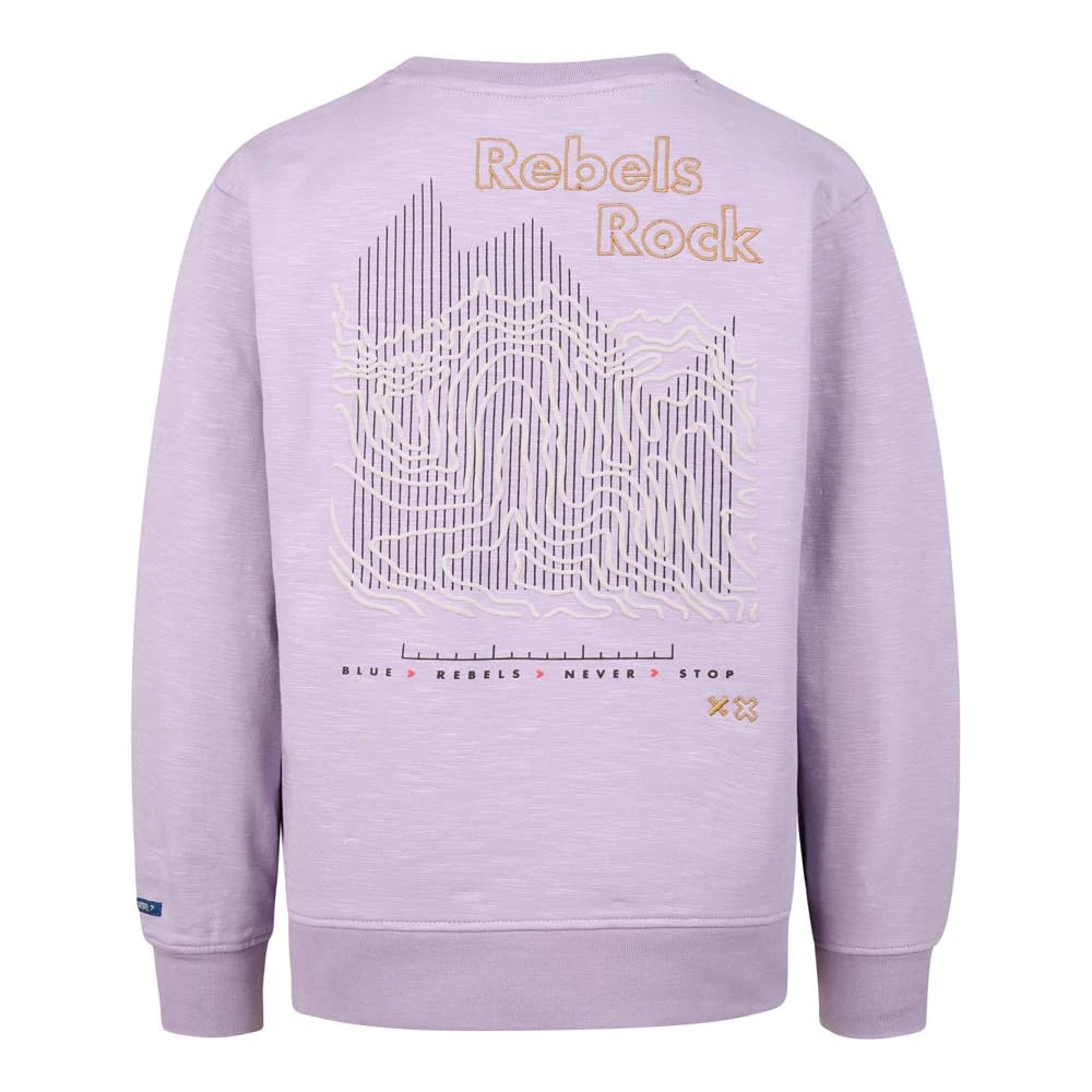 Licht paarse sweater met toffe tekening op de rug