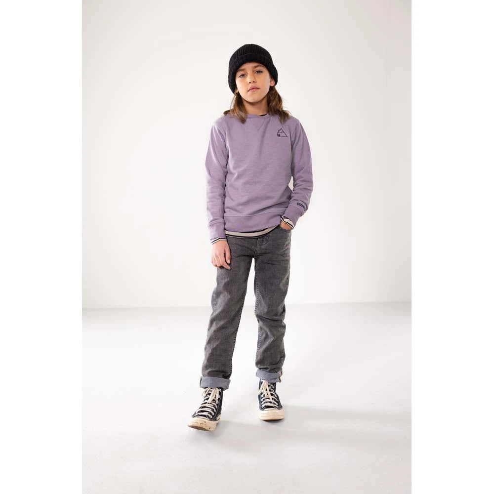 Licht paarse sweater met toffe tekening op de rug