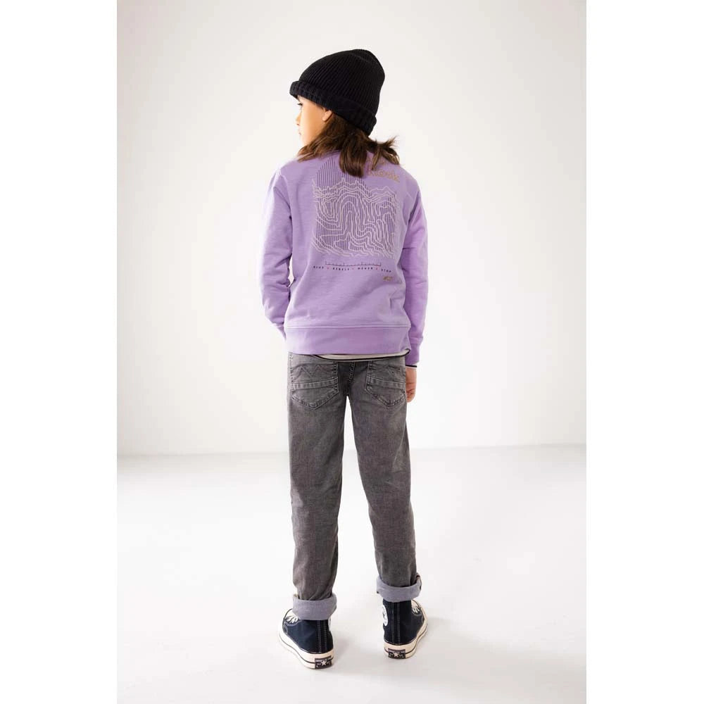 Licht paarse sweater met toffe tekening op de rug